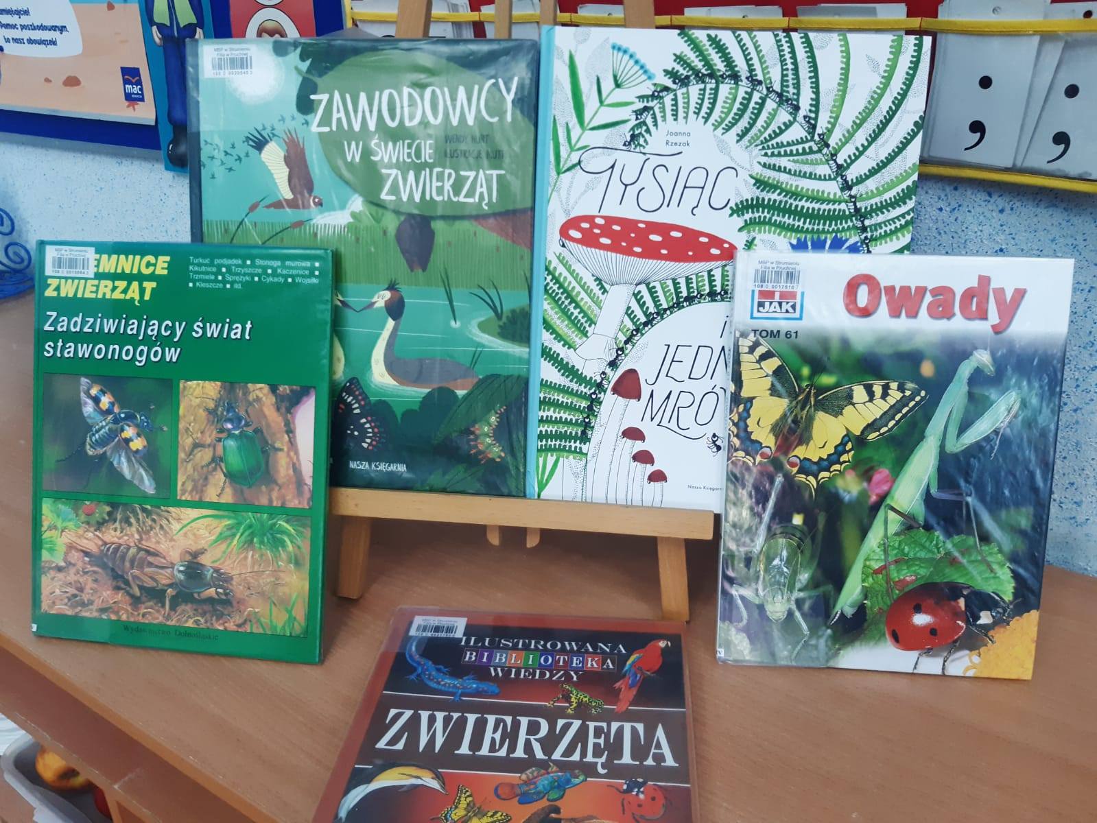 AKADEMIA PRZEDSZKOLAKA – WARSZTATY CZYTELNICZO TECHNICZNE