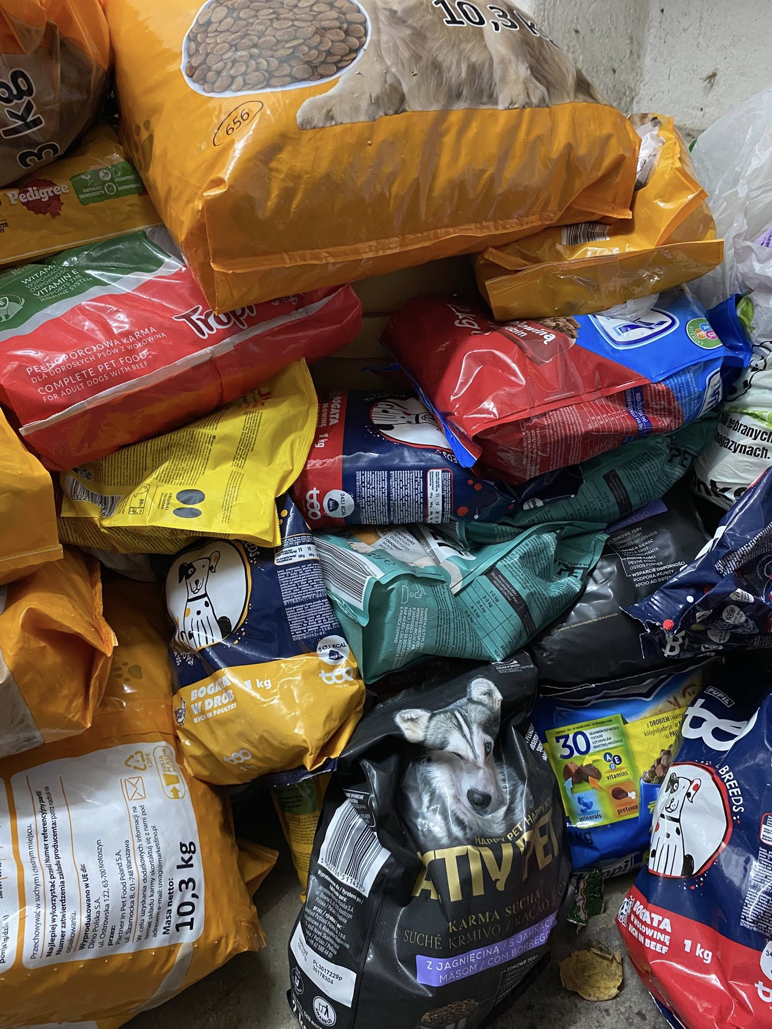 Zakończyliśmy akcję Pełna miska dla schroniska